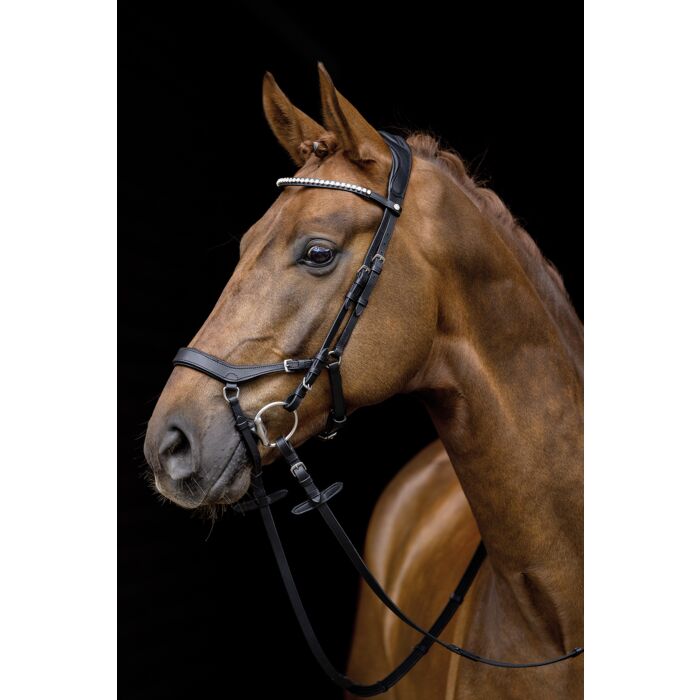 HKM Bridle - Pro-Anatomic